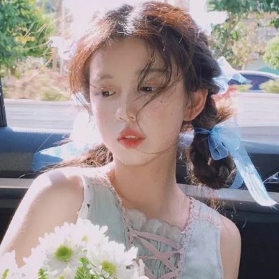 征服北极的人